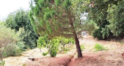 Collobrières Maison neuve - 2361579-11079annonce120250908bpOTB.jpeg Maisons de Manon