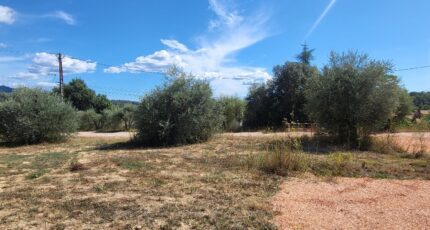 Barjols Maison neuve - 2362415-10746annonce120250819rMNJM.jpeg Maisons de Manon