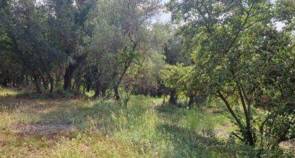 Grasse Maison neuve - 2293612-1836annonce220251003SUXhf.jpeg Maisons de Manon