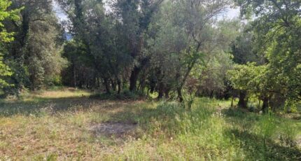 Grasse Maison neuve - 2293612-1836annonce320251003yo9Iy.jpeg Maisons de Manon