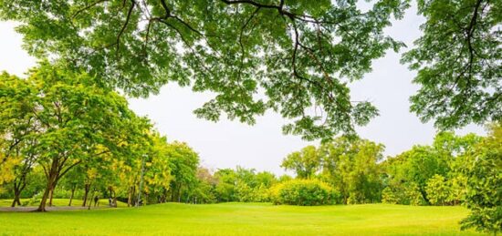Terrain à bâtir à , Bouches-du-Rhône