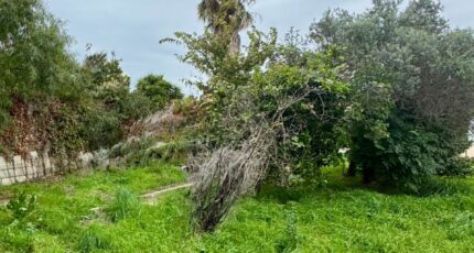 Six-Fours-les-Plages Terrain à bâtir - 2373102-7054annonce220251219FsRRU.jpeg Maisons de Manon