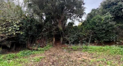 Six-Fours-les-Plages Maison neuve - 2373107-7054annonce320251219y1ShF.jpeg Maisons de Manon