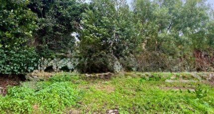 Six-Fours-les-Plages Maison neuve - 2373107-7054annonce420251219WMObJ.jpeg Maisons de Manon