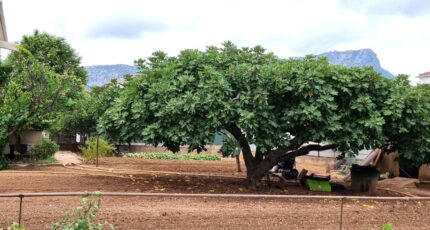 La Valette-du-Var Terrain à bâtir - 2379325-11079annonce220250901GGvqz.jpeg Maisons de Manon