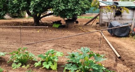 La Valette-du-Var Terrain à bâtir - 2379325-11079annonce420250901hGcry.jpeg Maisons de Manon