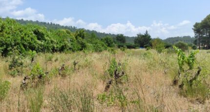 Garéoult Maison neuve - 2319032-10744annonce220250704HVVmK.jpeg Maisons de Manon