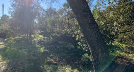 Martigues Maison neuve - 2322791-7060annonce420250626xrQBI.jpeg Maisons de Manon