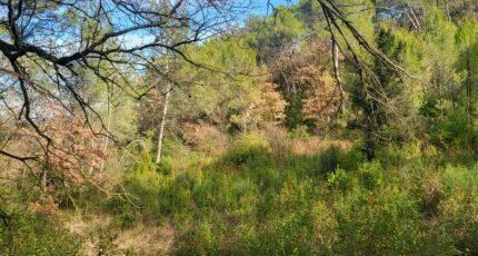 Brignoles Maison neuve - 2329489-10746annonce120251106vqWs6.jpeg Maisons de Manon