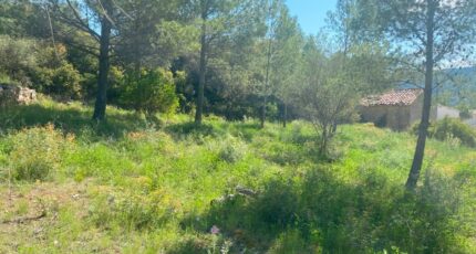 Bize-Minervois Terrain à bâtir - 2329178-692annonce220251105TIwxZ.jpeg Maisons de Manon