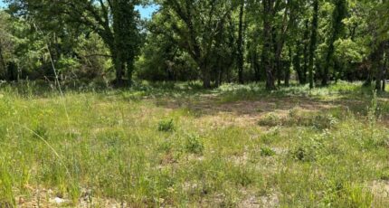 Montauroux Terrain à bâtir - 2337213-5826annonce220251113MOx6d.jpeg Maisons de Manon