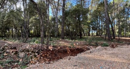 Lorgues Terrain à bâtir - 2337360-5826annonce120251113NyaPw.jpeg Maisons de Manon