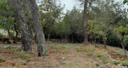 Saint-Maximin-la-Sainte-Baume Maison neuve - 2310266-10744annonce420251019sBduK.jpeg Maisons de Manon