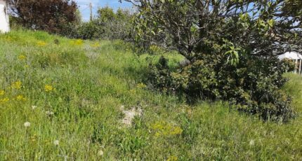 Meyreuil Terrain à bâtir - 2341811-7060annonce420251118vG689.jpeg Maisons de Manon