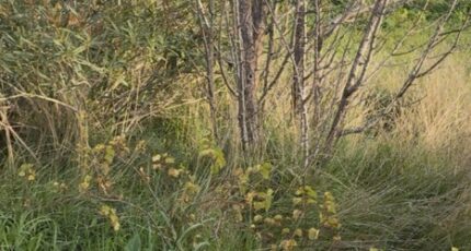 Martigues Terrain à bâtir - 2347320-7054annonce220260108uZ4Lv.jpeg Maisons de Manon