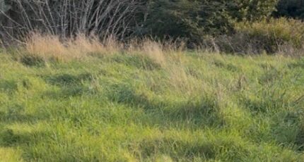 Martigues Maison neuve - 2347321-7054annonce120260107Ja2oH.jpeg Maisons de Manon