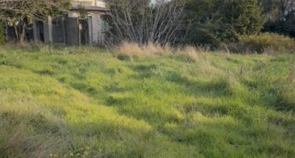 Martigues Maison neuve - 2347321-7054annonce1202601089CgX9.jpeg Maisons de Manon