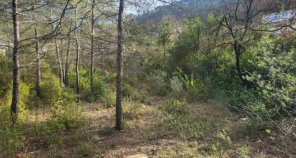 Brignoles Maison neuve - 2353293-10746annonce120251201uJAT7.jpeg Maisons de Manon