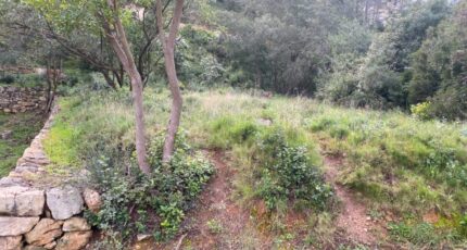 Ollioules Maison neuve - 2356557-7054annonce120260107ac6Iu.jpeg Maisons de Manon