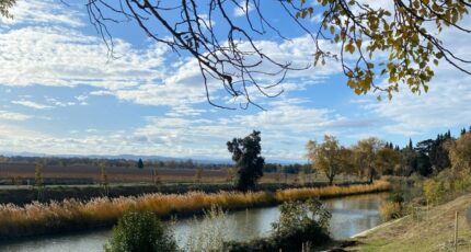 Roubia Terrain à bâtir - 2357907-692annonce2202512048AIuV.jpeg Maisons de Manon