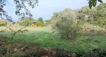 Fréjus Maison neuve - 2332453-9911annonce320251107U2Qn3.jpeg Maisons de Manon