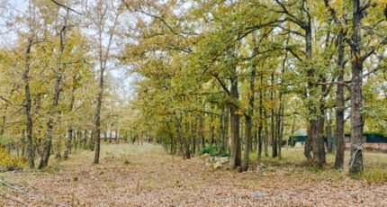 Trans-en-Provence Maison neuve - 2338655-9911annonce320251114pCrhb.jpeg Maisons de Manon