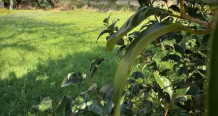 Lauris Terrain à bâtir - 2308258-11669annonce320251016VRg5D.jpeg Maisons de Manon