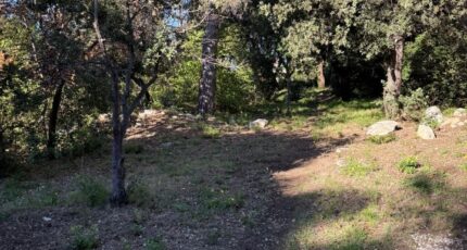 Sausset-les-Pins Maison neuve - 2312342-11669annonce320251021AStJD.jpeg Maisons de Manon