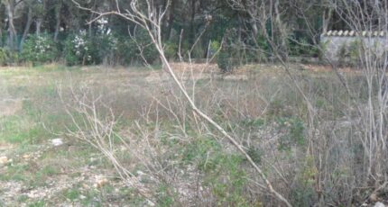 Cruviers-Lascours Terrain à bâtir - 2372096-3243annonce120251218VQlZB.jpeg Maisons de Manon