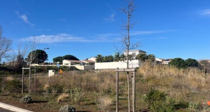 Saint-Thibéry Maison neuve - 2375585-11018annonce320250902rRJvJ.jpeg Maisons de Manon