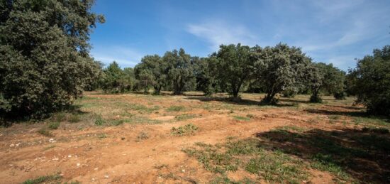 Terrain à bâtir à Saint-Siffret, Occitanie
