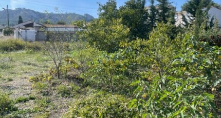 Ollioules Terrain à bâtir - 2380153-7054annonce120260104AJXI1.jpeg Maisons de Manon