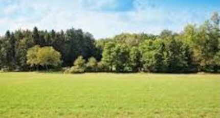 Ollioules Terrain à bâtir - 2380153-7054annonce3202601040KTzn.jpeg Maisons de Manon