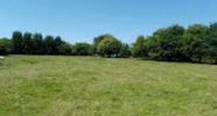 Ollioules Terrain à bâtir - 2380153-7054annonce420260104Manxr.jpeg Maisons de Manon