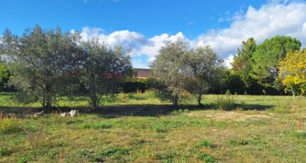 Oraison Maison neuve - 2365915-6932annonce12025121140SI6.jpeg Maisons de Manon