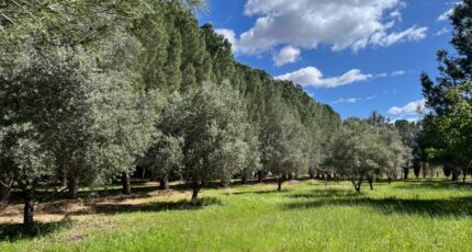 Lézignan-la-Cèbe Maison neuve - 2380501-11018annonce220250911er947.jpeg Maisons de Manon