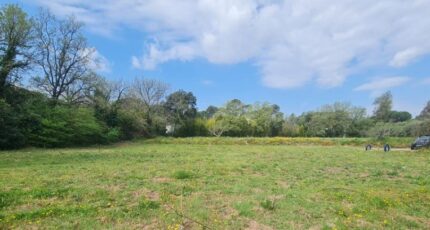 Puget-sur-Argens Terrain à bâtir - 2349948-9911annonce420251126SBDw9.jpeg Maisons de Manon