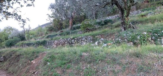Terrain à bâtir à , Alpes-Maritimes