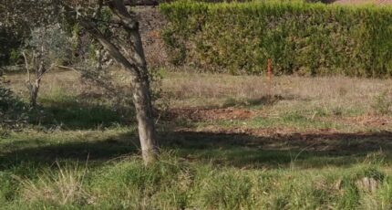 Oraison Terrain à bâtir - 2380431-9917annonce120260105vGwIt.jpeg Maisons de Manon