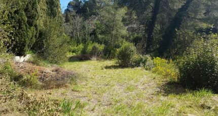 Grasse Terrain à bâtir - 2382201-1837annonce120260106gTyva.jpeg Maisons de Manon