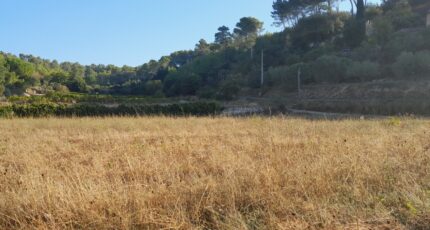 Cotignac Terrain à bâtir - 2382565-10744annonce3202512014gEMW.jpeg Maisons de Manon