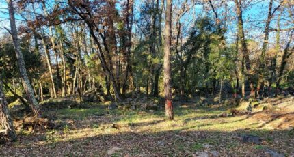 Camps-la-Source Maison neuve - 2382581-10744annonce220251201HklsL.jpeg Maisons de Manon