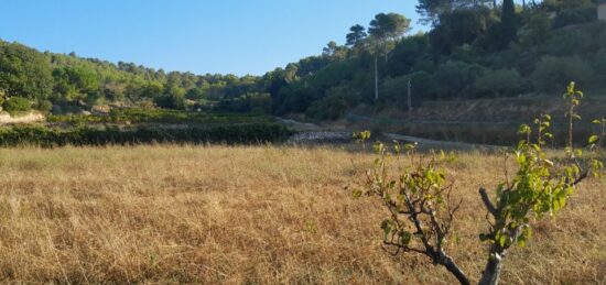 Terrain à bâtir à Cotignac, Provence-Alpes-Côte d'Azur