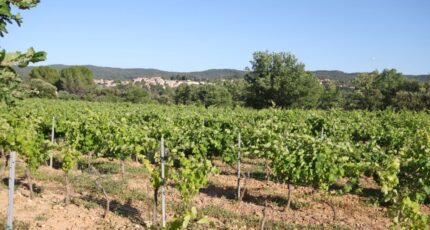 Carcès Maison neuve - 2384141-10744annonce220250326fhTK9.jpeg Maisons de Manon