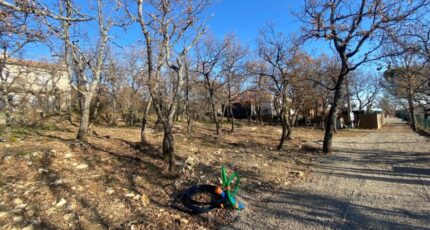 Forcalquier Terrain à bâtir - 2384233-2970annonce220260107gU02c.jpeg Maisons de Manon