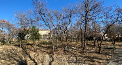 Forcalquier Maison neuve - 2384248-2970annonce120260107W6XUN.jpeg Maisons de Manon