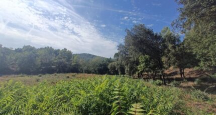 Taradeau Terrain à bâtir - 2384968-9911annonce320260107HT7ew.jpeg Maisons de Manon