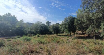 Taradeau Maison neuve - 2384974-9911annonce120260107qcozx.jpeg Maisons de Manon