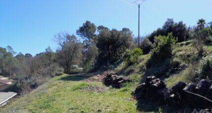 Brignoles Maison neuve - 2385535-10746annonce120260108i7V1H.jpeg Maisons de Manon