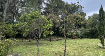 Saint-Vincent-de-Barbeyrargues Maison neuve - 2388995-609annonce320260112QJdl6.jpeg Maisons de Manon